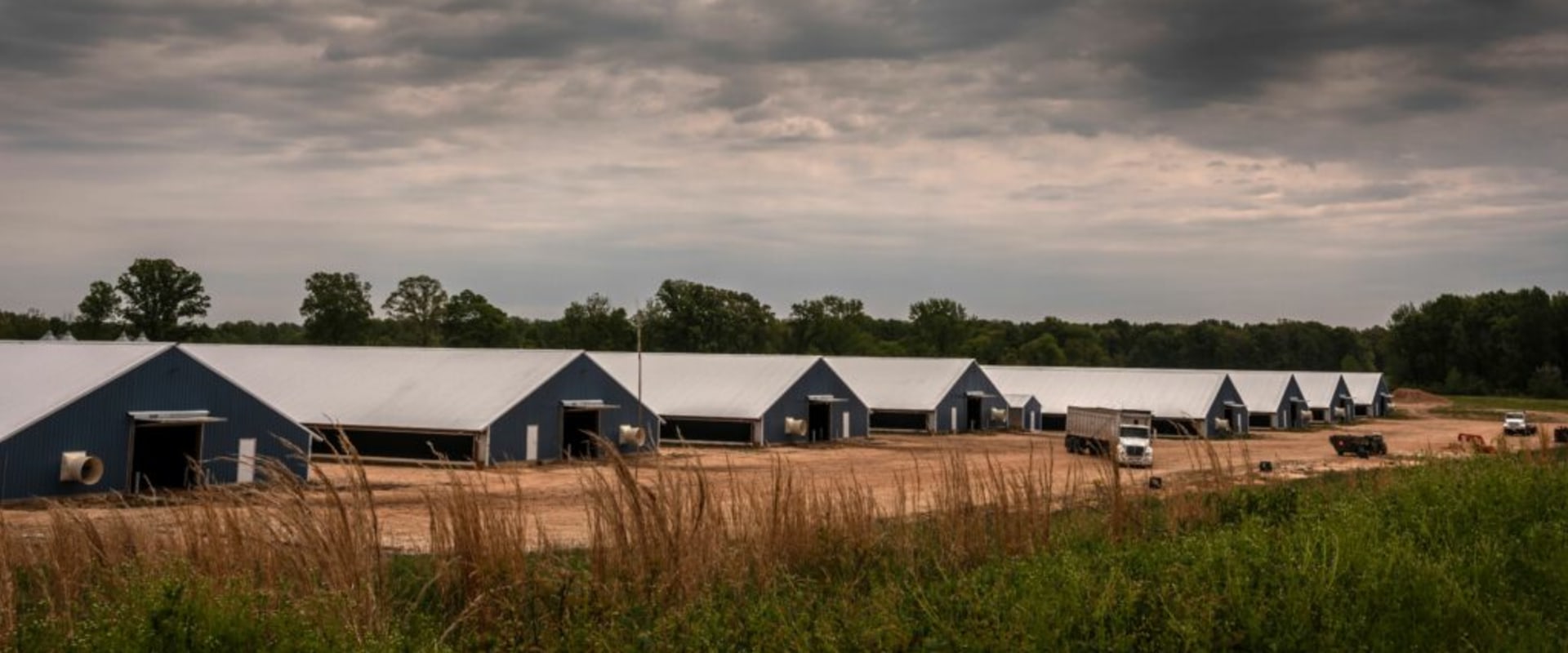 Agriculture in Weakley County: Opportunities and Growth
