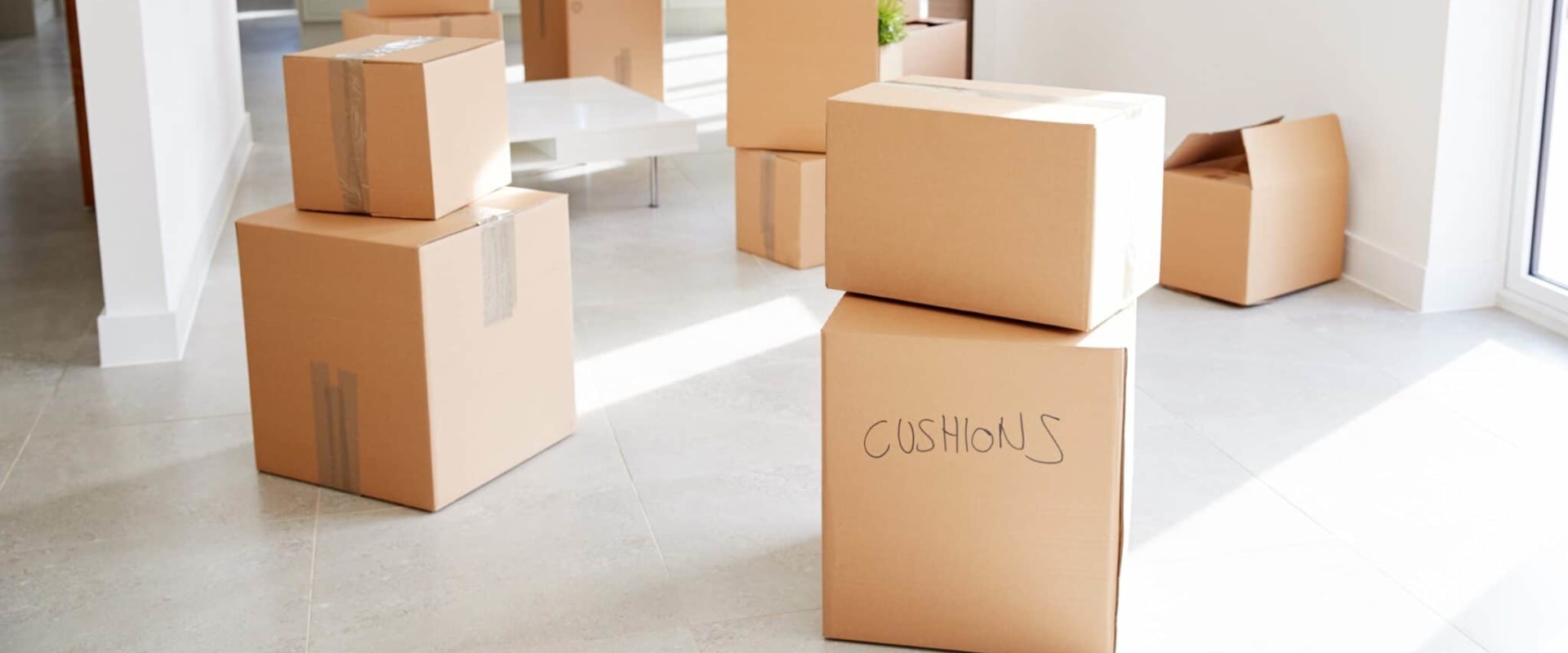 The Top Mover Fort Worth Companies: Expert Insights