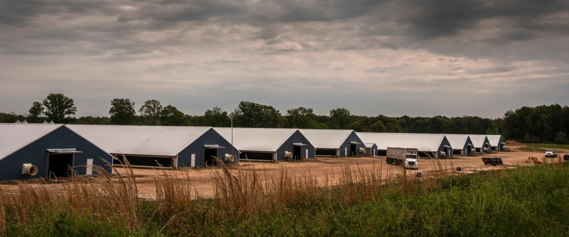 Agribusiness Opportunities in Weakley County, Tennessee